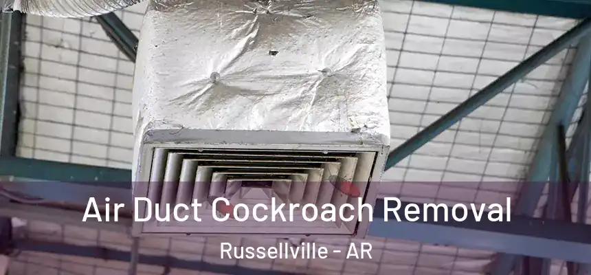 Air Duct Cockroach Removal Russellville - AR