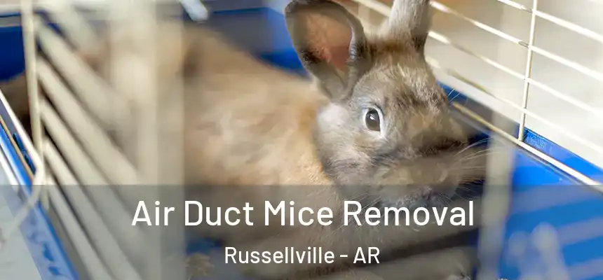 Air Duct Mice Removal Russellville - AR