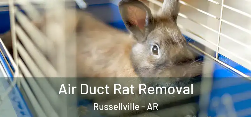 Air Duct Rat Removal Russellville - AR