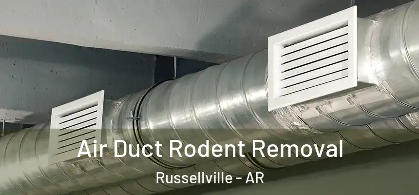  Air Duct Rodent Removal Russellville - AR
