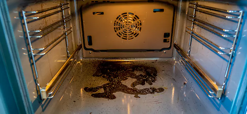 Our Dryer Vent Mold Cleaning Services in Russellville, AR