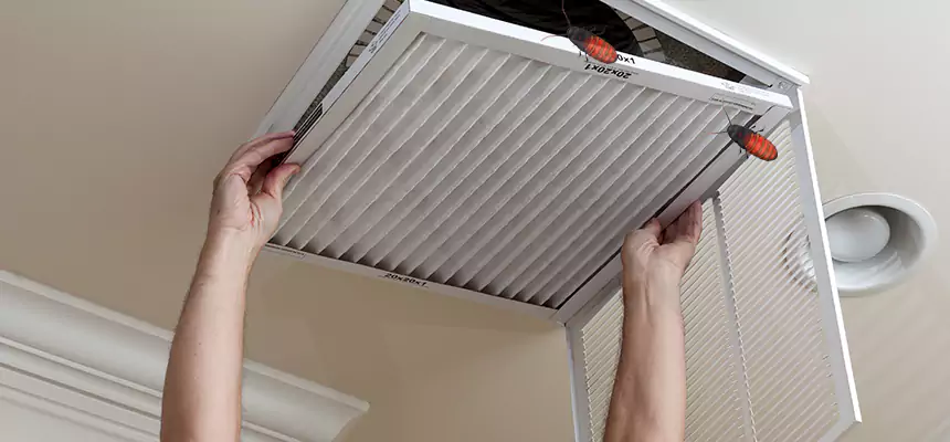 Our Insect Removal from Air Ducts Services in Russellville, AR