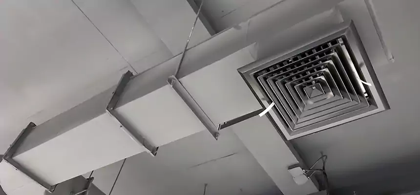 Our Pest Removal From Ducts Services in Russellville, AR