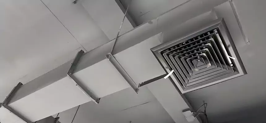 Our Rodent Droppings In Vents Services in Russellville, AR