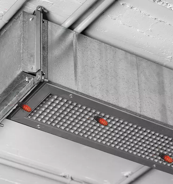 About Air Duct Cockroach Removal in Russellville, AR