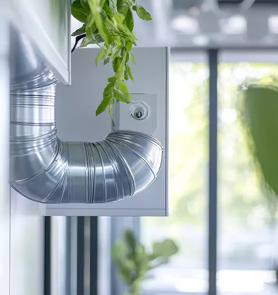 Professional Eco-Safe Dryer Vent Cleaning in Russellville, AR