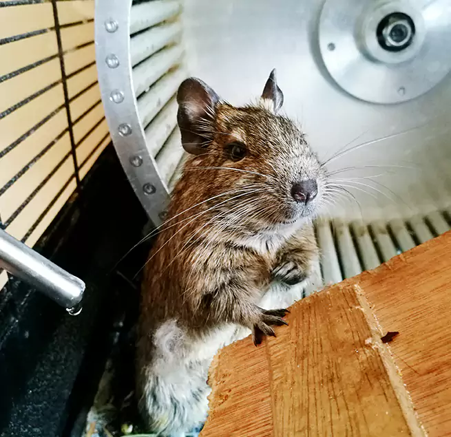 Why Homeowners & Businesses Trust Us Russellville, AR