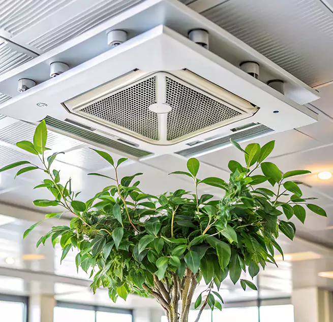 Why Homeowners & Businesses Trust Us in Russellville, AR?