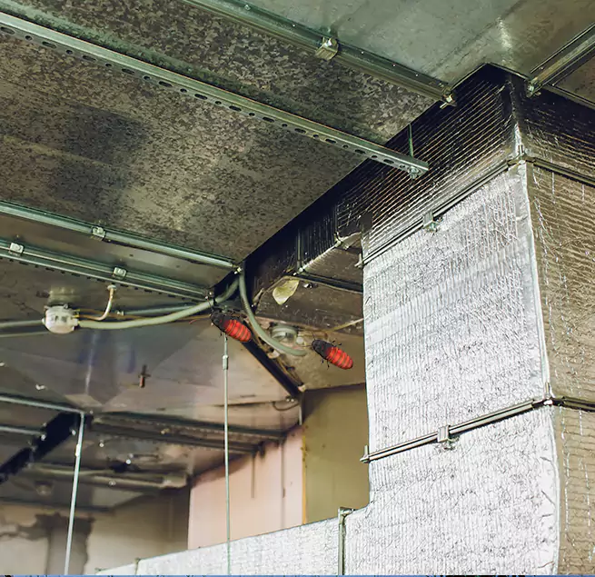 Why Homeowners & Businesses Trust Us Russellville, AR?