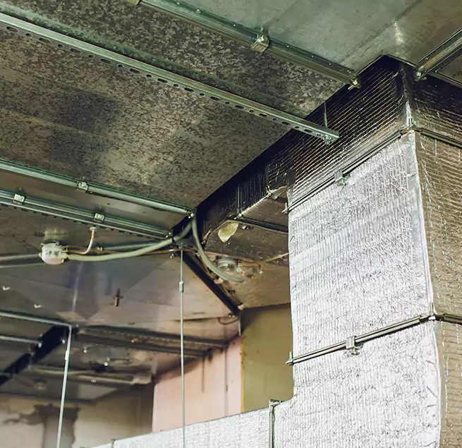 Why Homeowners & Businesses Trust Us in Russellville, AR?